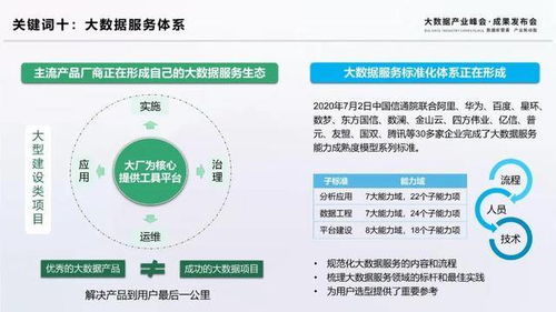 揭秘2020大數(shù)據(jù)十大關(guān)鍵詞 引領(lǐng)計(jì)算機(jī)軟件與數(shù)據(jù)處理服務(wù)新趨勢(shì)